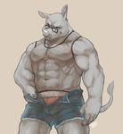  2015 abs anthro beau biceps biped blue_bottomwear blue_clothing bulge clothed clothing denim_shorts digital_media_(artwork) eddie_(evane) eyewear fishnet front_view glasses grey_eyes grey_skin grey_tail hi_res horn looking_at_viewer male mammal muscular muscular_male navel open_shorts pecs portrait red_bottomwear red_clothing red_underwear rhinoceros shirt shorts signature simple_background smile smirk snout solo standing tail_tuft tan_background tank_top teasing three-quarter_portrait translucent transparent_clothing tuft underwear undressing white_horn 