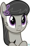  2017 animated arifproject black_hair earth_pony equine female feral friendship_is_magic fur grey_fur hair horse looking_at_viewer mammal my_little_pony octavia_(mlp) pony purple_eyes simple_background solo white_background 