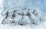  detailed_sketch feline feral lion mammal natoli nude paws smile solo standing traditional_media_(artwork) 