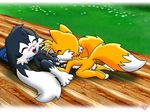  crossover klonoa sonic_team tails twotails 