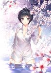  arm_at_side bangs black_hair blue_eyes blurry blush bottomless branch breasts cherry_blossoms cleavage collared_shirt cowboy_shot depth_of_field dress_shirt eyebrows_visible_through_hair flower hair_intakes kono_koi_to_sono_mirai light_particles long_sleeves looking_at_viewer medium_breasts nardack oda_mirai official_art open_mouth parted_lips petals petals_on_liquid shirt short_hair soaking_hands solo standing tree_shade wading water wet wet_hair 