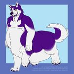  absurd_res brown_eyes canine dog fur hi_res husky kisaofthesnow male mammal overweight purple_fur slightly_chubby taur white_fur zenith 