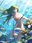  air_bubble androgynous bubble caustics convenient_censoring diving enkidu_(fate/strange_fake) fate/strange_fake fate_(series) fish freediving green_eyes green_hair highres holding_breath long_hair looking_at_viewer male_focus nature nude solo submerged sunlight swimming tebd_menkin underwater 