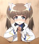  1boy 1girl animal_ears banitei blue_eyes blush brave_witches brown_hair georgette_lemare hair_ornament penis ribbon strike_witches twintails world_witches_series 