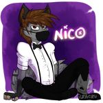  anthro canine clothed clothing fur hair lizheru looking_at_viewer male mammal mask sitting solo 