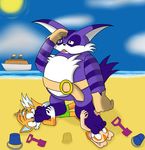  barefoot beach big_the_cat bucket canine copy_sonic cream_the_rabbit crush cub foot_fetish foot_focus fox foxkai mammal miles_prower sand_castle sculpture sea seaside sonic_(series) unaware underfoot water young 