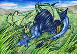  2010 blue_hair claws day detailed_background dragon duo eyes_closed feathered_dragon feathered_wings feathers feral grass hair lying membranous_wings natoli nude outside sky sleeping smile traditional_media_(artwork) watermark wings 