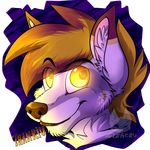  ambiguous_gender anthro canine fur hair lizheru looking_at_viewer mammal smile solo 