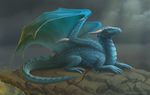  blue_scales detailed_scales dragon feral horn jay-kuro lying membranous_wings orange_eyes outside overcast scales sitting sky solo wings 