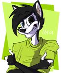  anthro canine clothed clothing fur hair lizheru looking_at_viewer male mammal smile solo 