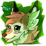  ambiguous_gender anthro canine fox fur hair lizheru looking_at_viewer mammal smile solo 