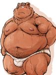  bear bulshing clothing kotobuki male mammal nipples overweight overweight_male solo sweat underwear 