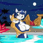  anthro big_breasts bikini black_nose blue_fur blue_hair blush breasts canine clothing cuddling female fox fox_mccloud fur green_eyes hair krystal looking_back male male/female mammal night ninjaspartankx5 nintendo romantic romantic_couple star_fox swimsuit video_games white_fur 