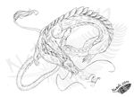  2011 dragon eastern_dragon feral fur natoli simple_background sketch solo traditional_media_(artwork) watermark white_background 