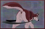 balto balto_(film) butt canine dog feral husky kodi male mammal presenting sleddog solo 