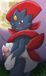  cum diaper erection male nintendo penis pok&eacute;mon red_eyes video_games weavile xepher777 