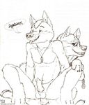  anal anal_penetration animal_genitalia animal_penis canine canine_penis duo jewelry keto link_(wolf_form) looking_pleasured male male/male mammal necklace nintendo on_top penetration penis sitting sketch the_legend_of_zelda tongue tongue_out video_games wolf 