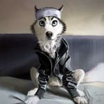  bed canine clothing dog fabric headband husky jacket leather leather_jacket mammal swish 