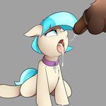  2017 animal_genitalia animal_penis balls blue_eyes coco_pommel_(mlp) collar cum cum_in_mouth cum_inside cum_on_face disembodied_penis earth_pony equine equine_penis erection eyelashes female feral friendship_is_magic fur grey_background hair horse male mammal multicolored_hair my_little_pony neighday penis pony simple_background solo tan_fur tongue tongue_out two_tone_hair 