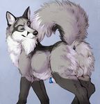  2016 absurd_res anatomically_correct anatomically_correct_penis animal_genitalia animal_penis anus backsack balls bite black_nose blue_anus blue_eyes blue_penis butt canine canine_penis digital_media_(artwork) dipstick_tail feral fluffy fox fur hi_res holding_tail looking_at_viewer male mammal marjani multicolored_fur multicolored_tail penis penis_tip perineum presenting presenting_hindquarters raised_tail sheath solo tail_biting 