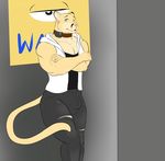  anthro bulge clothed clothing collar crossed_arms feline looking_at_viewer male mammal merffle muscular solo standing 