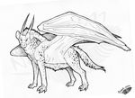  2011 claws dragon feral fur hybrid hyena mammal membranous_wings natoli simple_background solo standing traditional_media_(artwork) white_background wings 