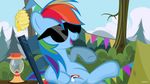  beehive camping chair cutie_mark equine eyewear female feral forest friendship_is_magic hair horse lamp mammal multicolored_hair my_little_pony noah-x3 outside pony rainbow_dash_(mlp) rainbow_hair sky solo sunglasses tent tree 