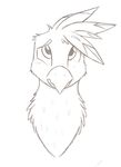  ambiguous_gender avian beak denzeltip feathers feral gryphon looking_at_viewer monochrome solo 