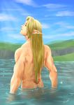  carla_l elf humanoid hylian link male mistressainley nintendo nude solo the_legend_of_zelda triforce video_games 