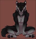  anthro canine compass_(artist) featureless_crotch fur hair looking_at_viewer male mammal nude sitting solo 