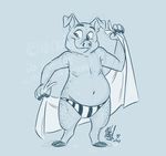  clothing drying_off mammal nicnak044 pig porcine speedo swimsuit swine water wet 