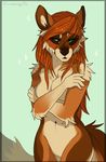  anthro canine compass_(artist) featureless_crotch female fur hair mammal nude solo standing wide_hips 
