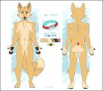  anthro canine collar compass_(artist) featureless_crotch looking_at_viewer male mammal model_sheet nipples nude solo 