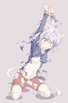  1girl bondage cat_ears cat_tail nefelpitou nu_(plastic_eraser) silver_hair 