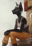  anthro black_fur black_nose breasts cat clothed clothing day feline female fur hair mammal orphen-sirius outside sitting sky smile solo white_hair wildering yellow_eyes 