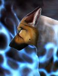  ambiguous_gender black_nose blue_eyes canine fur headshot inkrend mammal solo tan_fur white_fur wolf 