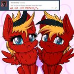  &lt;3 black_hair blonde_hair blue_eyes blush duo english_text equine fan_character feathered_wings feathers female fur gear_(mlp) hair male mammal my_little_pony nightmare_fuel pegasus pouty_face red_fur spread_wings text tumblr twotail813 twotail_(mlp) wings 