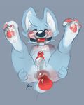  2015 3_toes anal anal_penetration anthro anus ball_gag balls bdsm black_nose blue_fur blush canine cum cum_everywhere cum_on_balls cum_on_cheek cum_on_chest cum_on_face cum_on_feet cum_on_penis digital_media_(artwork) dildo dog erection fur gag gagged half-closed_eyes hindpaw huffypup_(character) lokpik male mammal messy nude open_mouth pawpads paws penetration penis presenting sex_toy simple_background solo spread_legs spreading toes 
