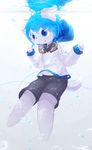  anthro aoino blue_eyes blue_hair canine clothing cub dog eyewear fur goggles hair hoodie male mammal navel open_mouth reflection shorts simple_background solo underwater water white_background white_fur young 