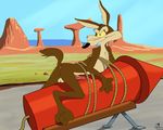  2016 anatomically_correct anatomically_correct_penis anus balls bdsm bondage bound canine coyote cum desert emptyset looking_back looney_tunes lying male mammal nude on_front outside penis raised_tail rocket rope solo warner_brothers wile_e._coyote 