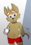  anthro ball balls canine circumcised clothed clothing cub dog erection eyewear goggles goggles_on_forehead humanoid_penis jerseydevil looking_at_viewer mammal navel nipples pants_down partially_clothed penis shorts small_penis smile soccer_ball topless young zabivaka 