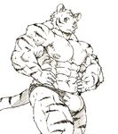  abs anthro biceps black_and_white bulge clothing feline fur huge_muscles kuroma looking_at_viewer male mammal monochrome muscular nipples pecs pose quads solo stripes tiger triceps underwear wide_hips 