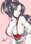  1girl breasts eunnie fatal_fury large_breasts pixiv_manga_sample ponytail shiranui_mai solo 