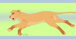  bahati_whiteclaw blue_eyes feline female lion lynxbrush mammal pink_nose running scared simple_background solo tuft two_tone_paws 