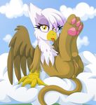  2017 anus avian female feral friendship_is_magic gilda_(mlp) gryphon my_little_pony pearlyiridescence pussy solo 