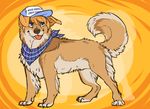  2016 aileas_fossaway ambiguous_gender bandanna blonde_hair canine clothed clothing dope-dingo feral fluffy fur hair handkerchief hat mammal open_mouth patriotism politics simple_background smile solo standing tongue united_states_of_america 