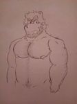  bear big_(disambiguation) fluffy hairy male male/male mammal muscular oso pecs 