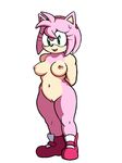  amy_rose breasts green_eyes pussy sonic_(series) watatanza_(pixiv) 