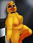 absurd_res against_surface against_wall animatronic anthro arthropod beak bedroom_eyes bib breast_grab breast_squish breasts chica_(fnaf) chubby_anthro chubby_belly chubby_female dipteran english_text eyebrows feathers female five_nights_at_freddy&#039;s five_nights_at_freddy&#039;s_vr:help_wanted genitals hand_on_breast hi_res insect looking_at_viewer machine narrowed_eyes nipples purple_eyes pussy robot scottgames seductive silentbandit slightly_chubby smile smirk solo solo_focus spotlight spotlight_beam squish text thick_eyebrows thick_thighs tile tile_wall wall_(structure) yellow_body yellow_feathers