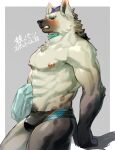 2023 anthro arknights blush bulge clothing eyebrow_piercing facial_piercing fur grey_body grey_fur hair hi_res hyena hypergryph looking_at_viewer male mammal muscular muscular_anthro muscular_male piercing pluto08010511 pu94_d1de4c solo spot_(arknights) spotted_hyena studio_montagne swimwear tail